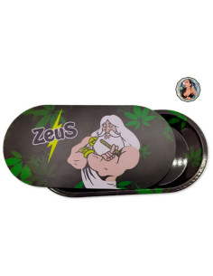 ZEUS - METÁLICA CON TAPA  12991
