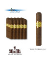 SOL DE CUBA - Petit Robusto mazo x 25