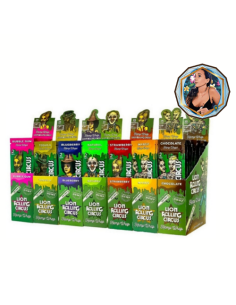 LION ROLLING CIRCUS - CHOCOLATE x 2