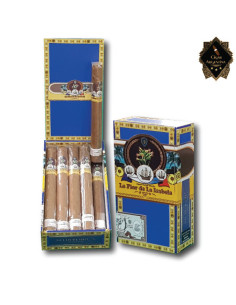 LA FLOR DE LA ISABELA CHURCHILL - Box x 10