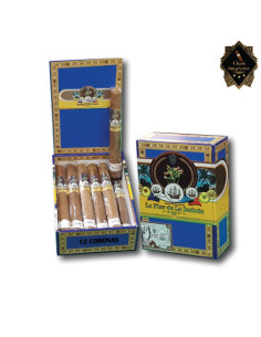 LA FLOR DE LA ISABELA CORONA - Box x 12