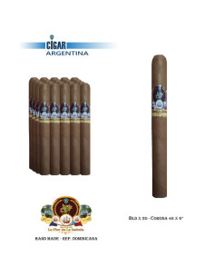 LA FLOR DE LA ISABELA CORONA - Mazo x 20