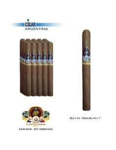 LA FLOR DE LA ISABELA CHURCHILL - Mazo x 20