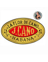 Flor de Cano